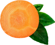 aa